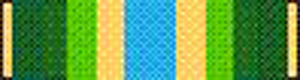 Armed Forces Service Medal Ribbon - super thin ribbons