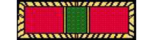 Army Superior Citation With Gold Frame - Super Thin Ribbons