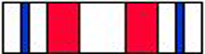 Coast Guard Enlisted Person Of The Year Ribbon - Superthinribbons