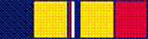 Navy Combat Action Ribbon - superthin ribbons