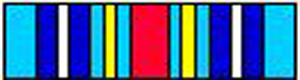 Global War on Terrorism Expeditionary Medal Ribbon - super thin ribbons