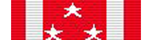 Philippine Defense Ribbon - Superthinribbons