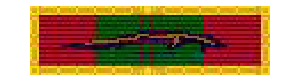 Vietnam Civil Act With Gold Frame and Palm Medal